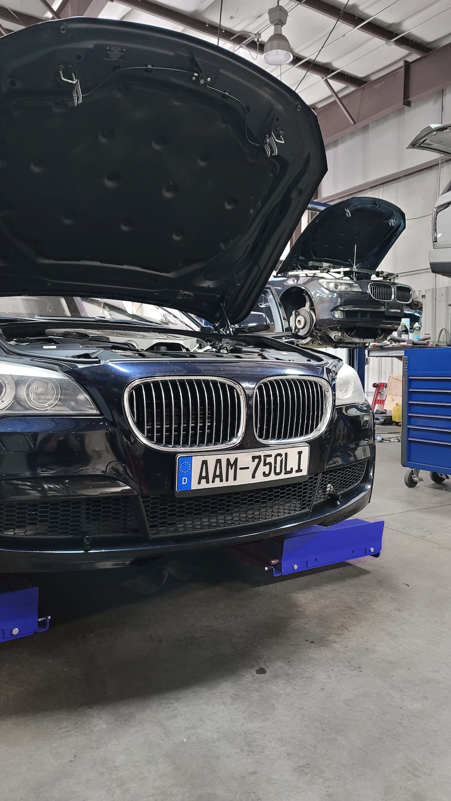 BMW Repair In Wendell, NC BMW Repair In Wendell, NC